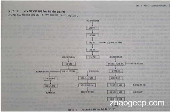 兆格分享：液壓榨油機在制取棕櫚油的應用