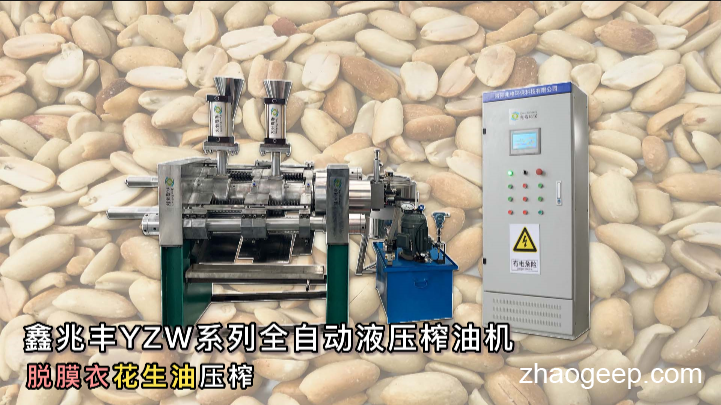 鑫兆豐YZW新型全自動液壓榨油機 冷榨花生油 