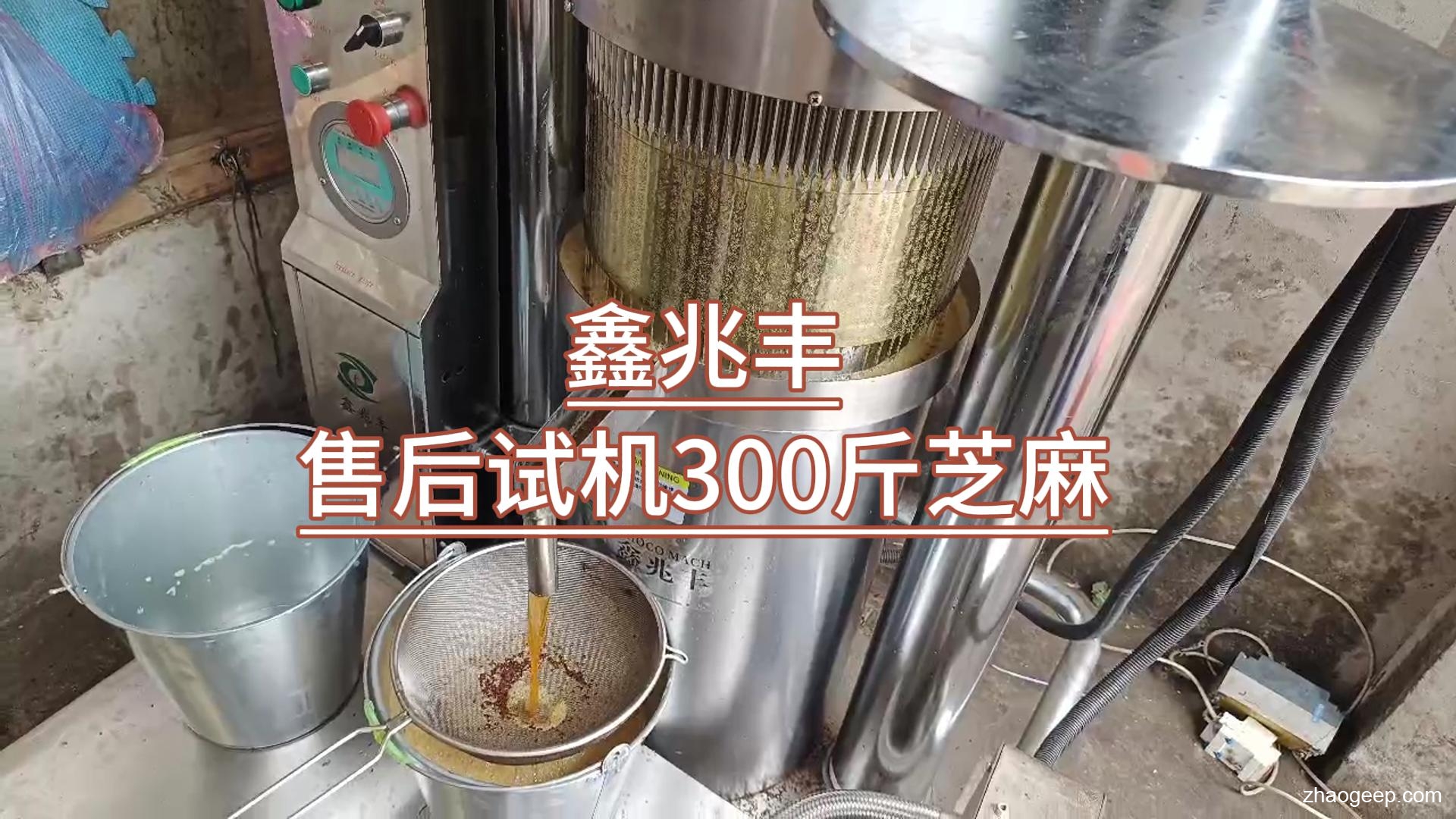 兆格環保_鑫兆豐全自動液壓榨油機_廠家售后走訪江西